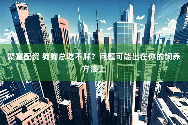聚富配资 狗狗总吃不胖？问题可能出在你的饲养方法上