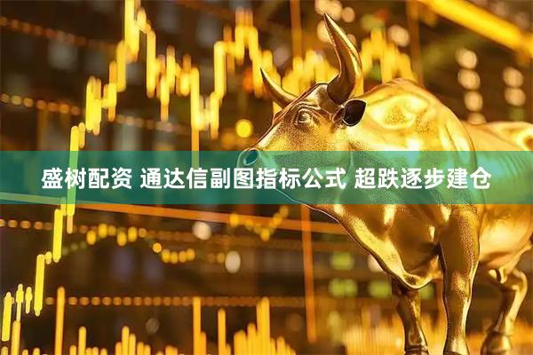 盛树配资 通达信副图指标公式 超跌逐步建仓